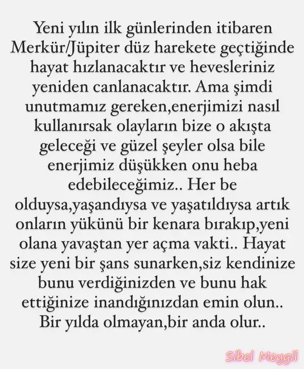 24 (2).webp