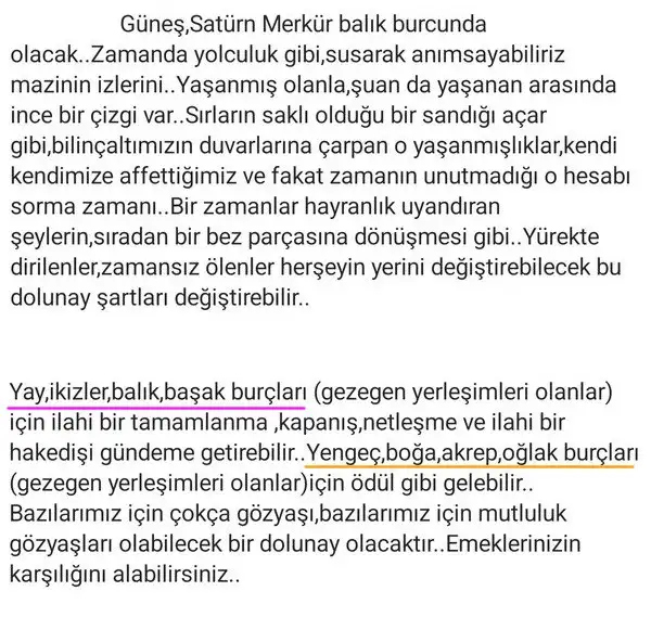 24 şub (3).webp