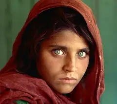 240px-Sharbat_Gula.webp