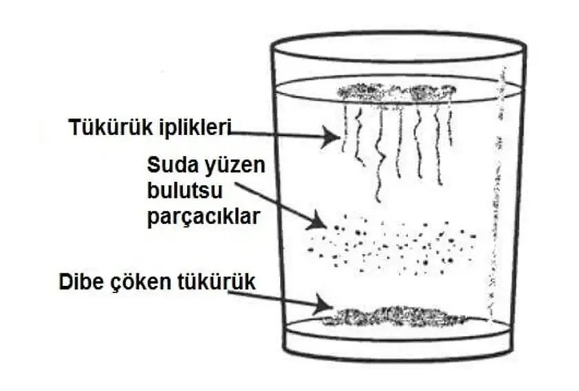 2440_0.webp