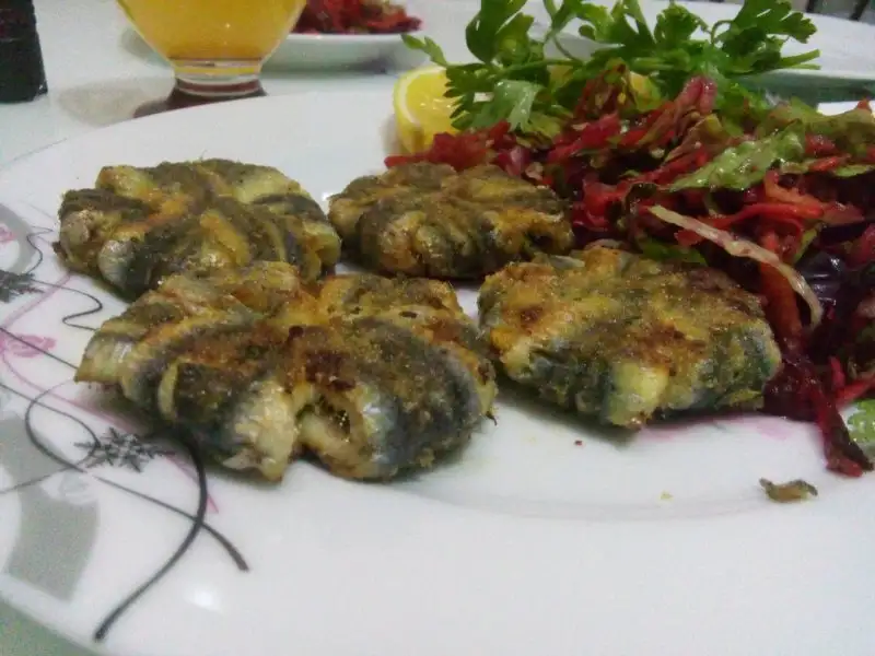 25.webp