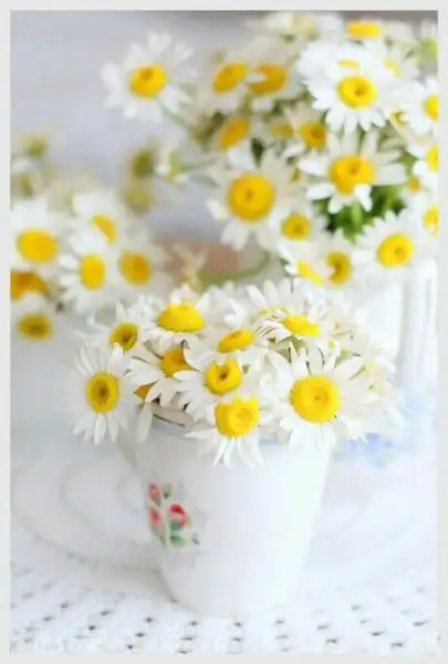 25a24212f2cf74d7ad07a3381fa5f614.webp
