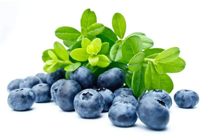 26_d.webp