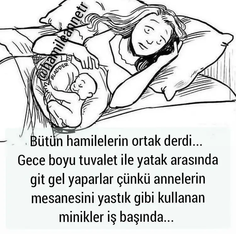270BB8DA-2EDA-4305-A045-BE9B0F6852C1.webp