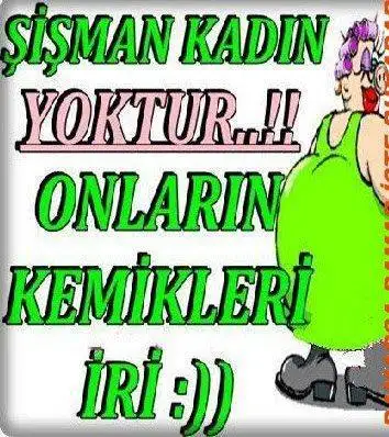 274668.webp