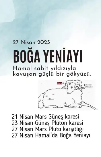 27bo (1).webp
