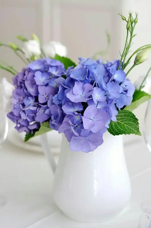 27f9ce68dcb2c7e45987f801ed97d256.webp