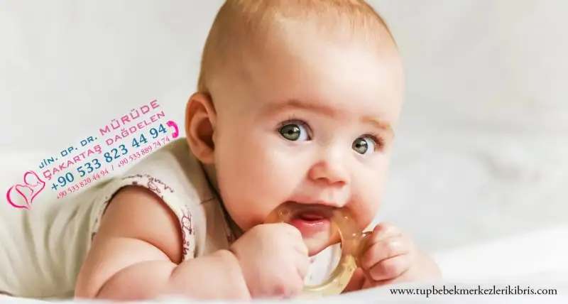280 x 150 (2).webp