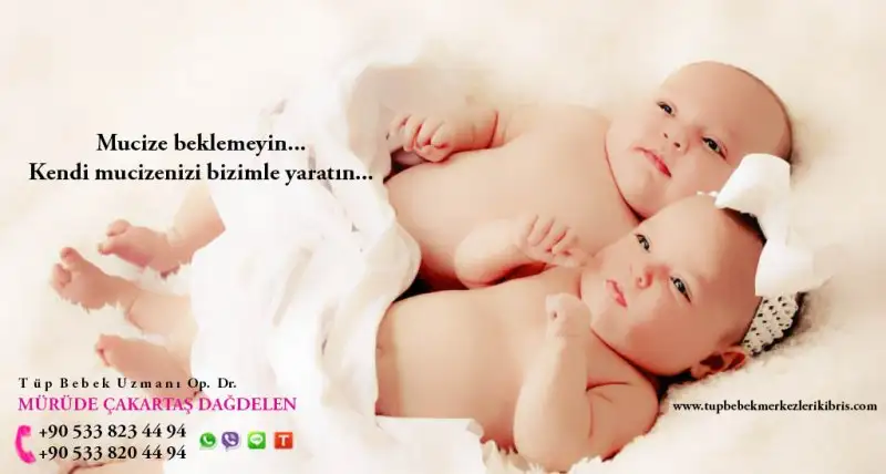 280 x 150 (6).webp