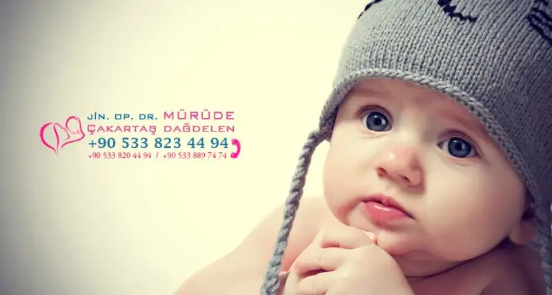 280 x 150 (8).webp