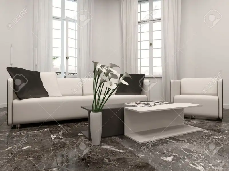 28687260-White-living-room-interiow-with-bay-window-couch-and-black-marble--Stock-Photo.webp