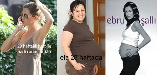 28hafta.webp