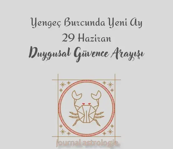 29 yengeç2 (1).webp