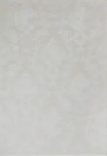 2927kgy.webp