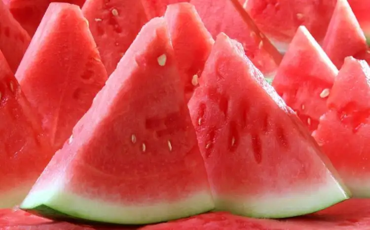 2977_2.webp