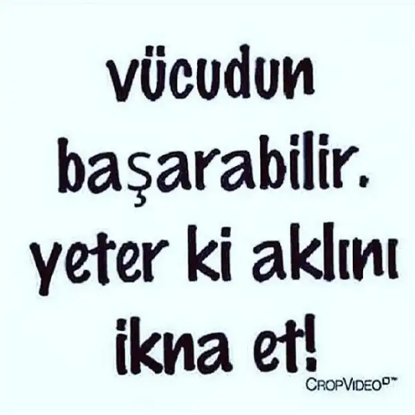 29b4892d41d393ed7c391721435fbe51.webp
