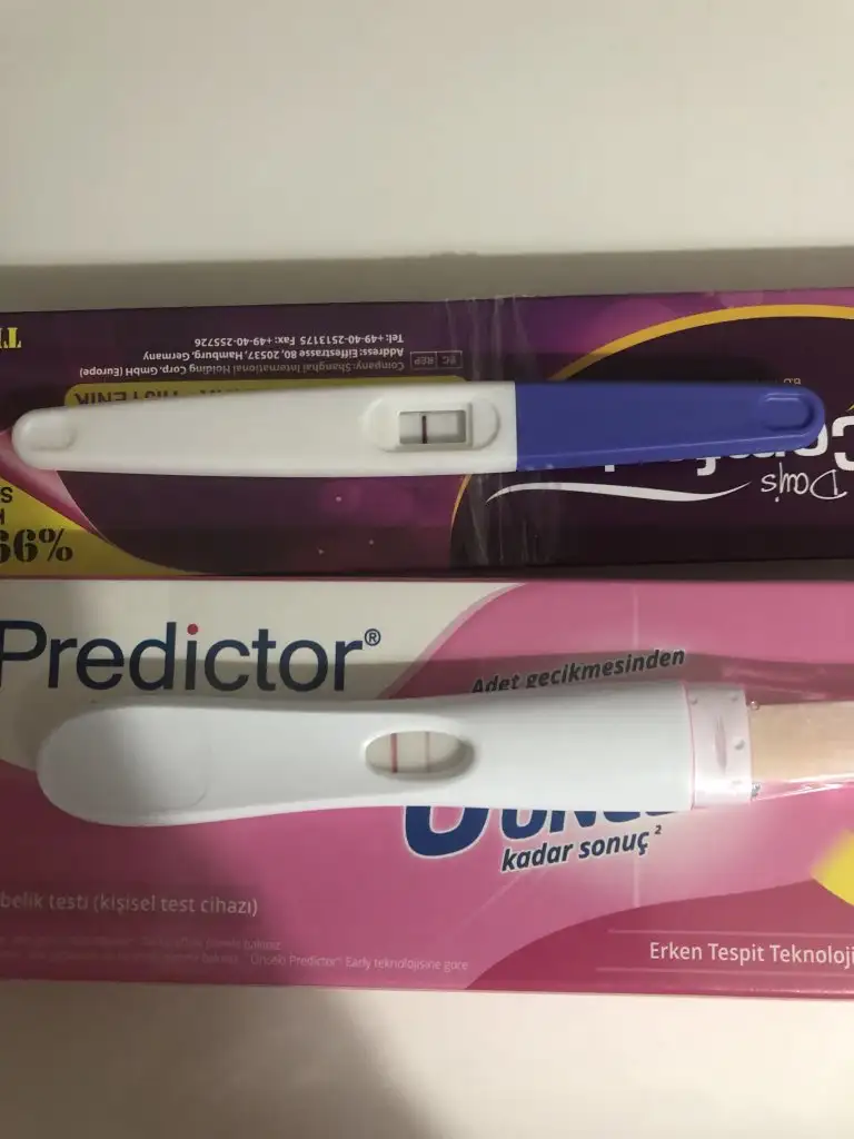 anal zenci