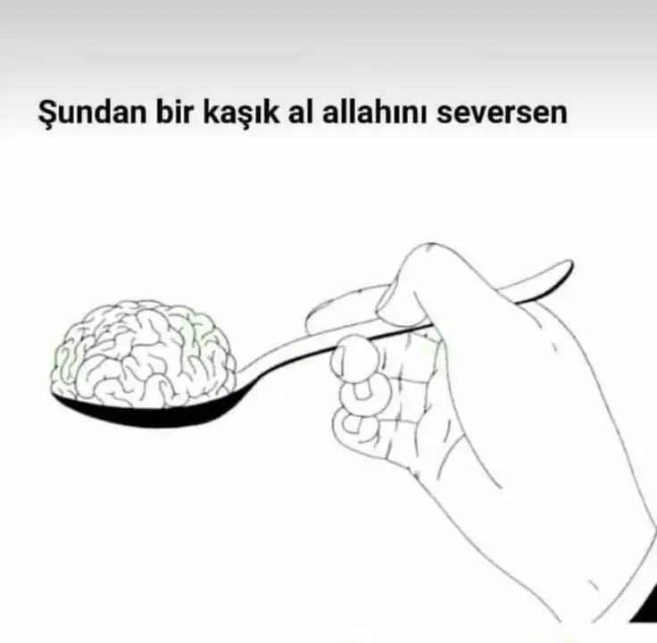 2d3da0c1ec7e7d251fac0a4485d9f00c.webp