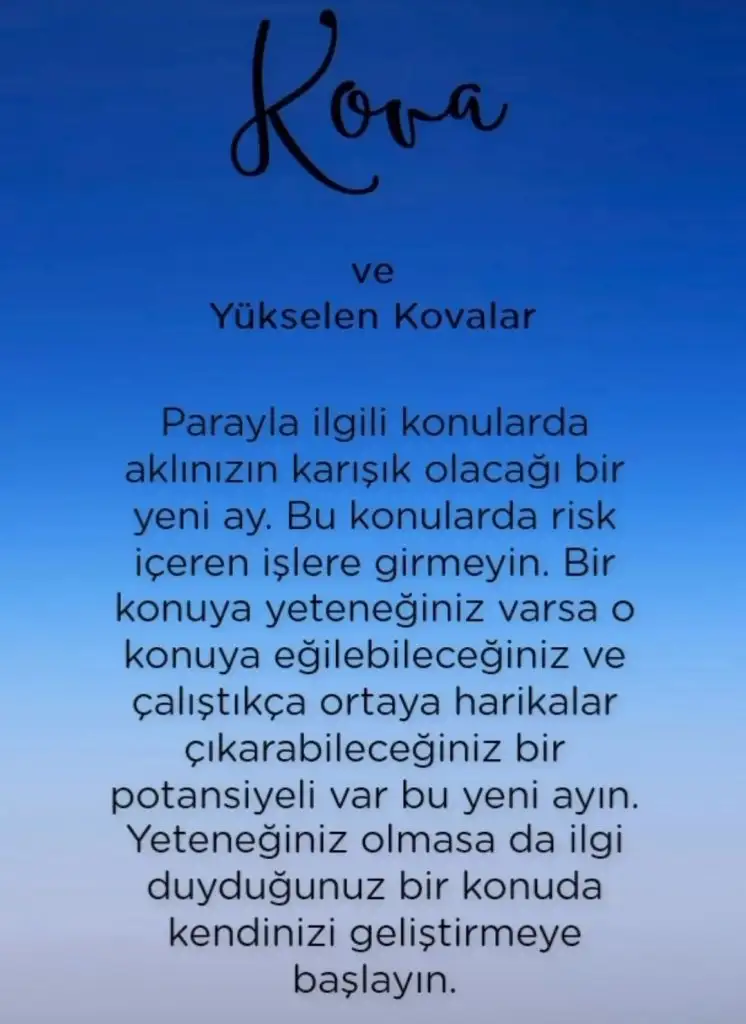 2e (11).webp