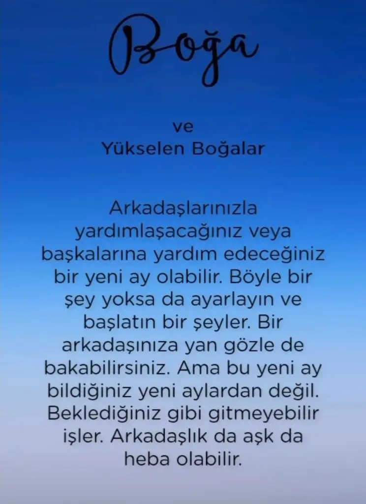 2e (2).webp
