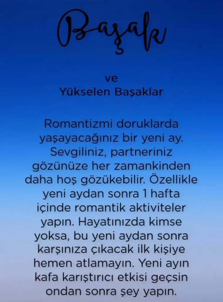 2e (6).webp