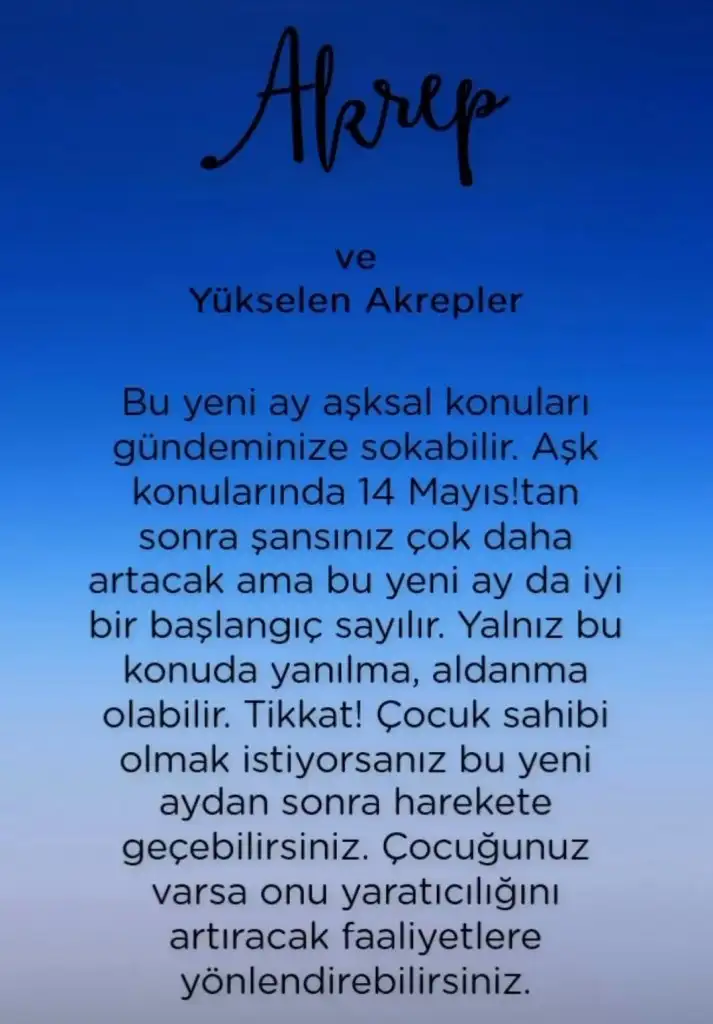 2e (8).webp