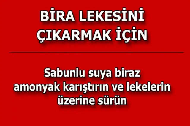 2e7a33636d00ae3c3cf5db6bb7204bf4_k.webp