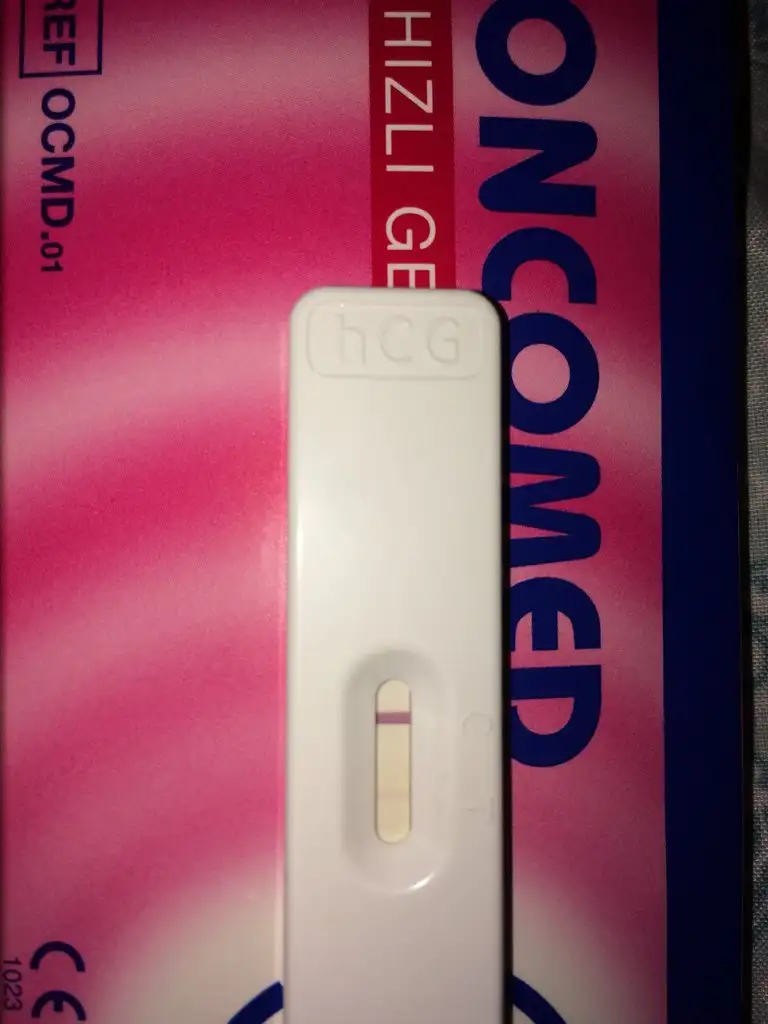 2EE52F3C-AA62-4C5D-A18A-FA55AE55AE08.webp