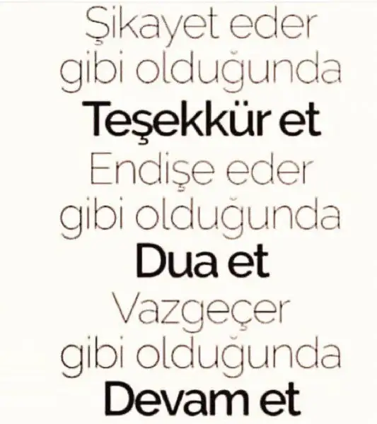 2F2926BD-58C1-4AE2-82EA-515C6B0815E0.webp
