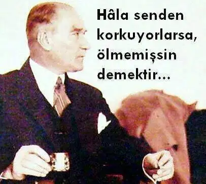 2zo9lde.webp