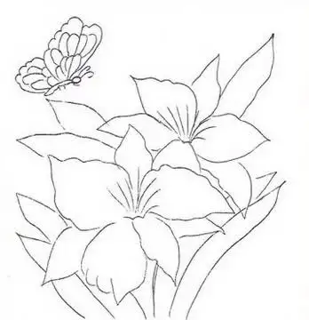3.webp