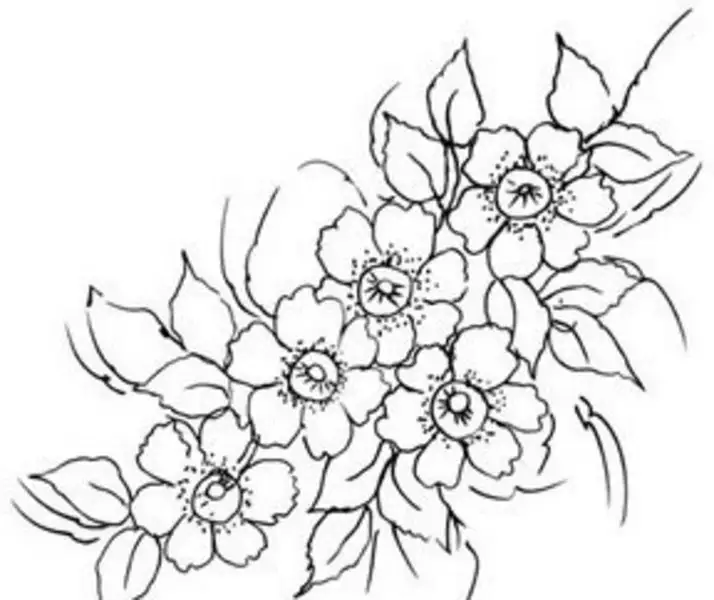 3.webp