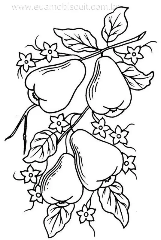 3.webp
