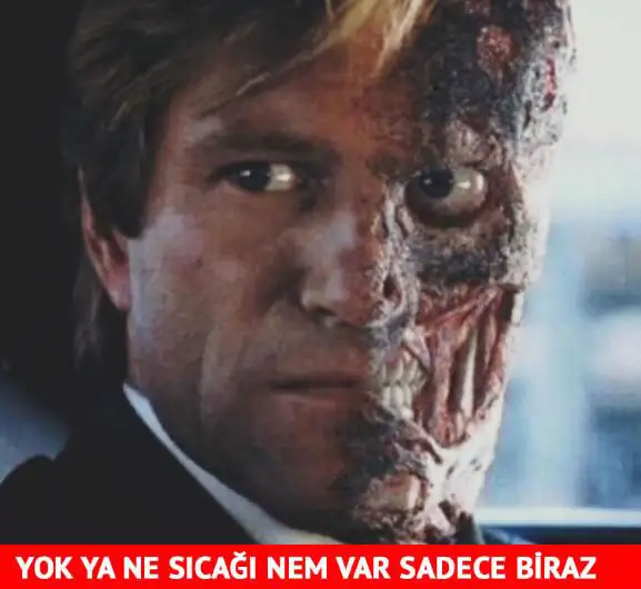 3.webp