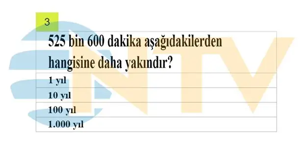 3.webp