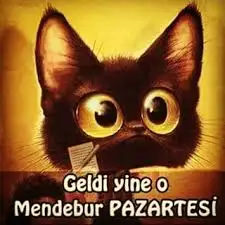 3.webp
