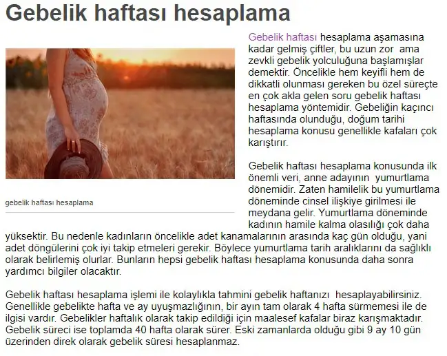 3.webp