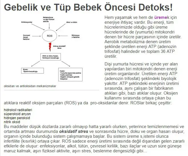3.webp
