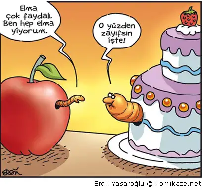 3.webp
