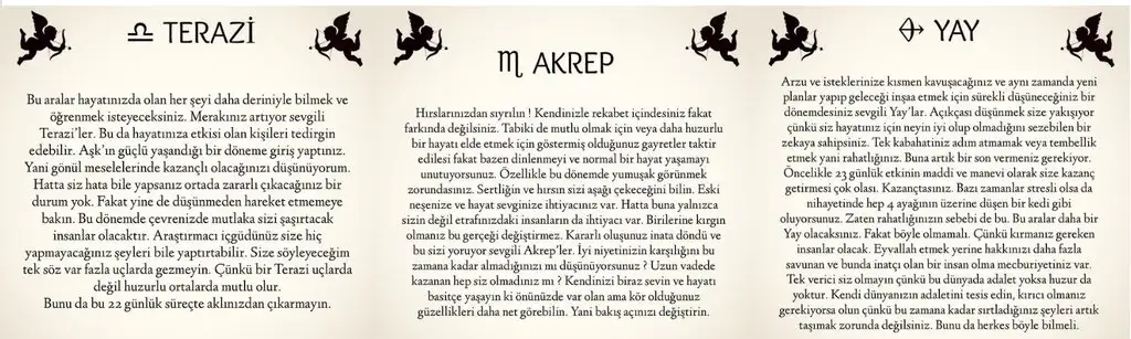 3.webp