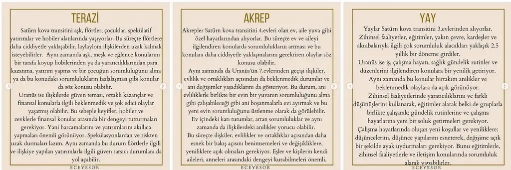 3.webp