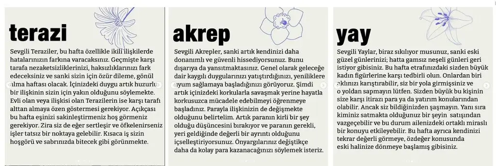 3.webp