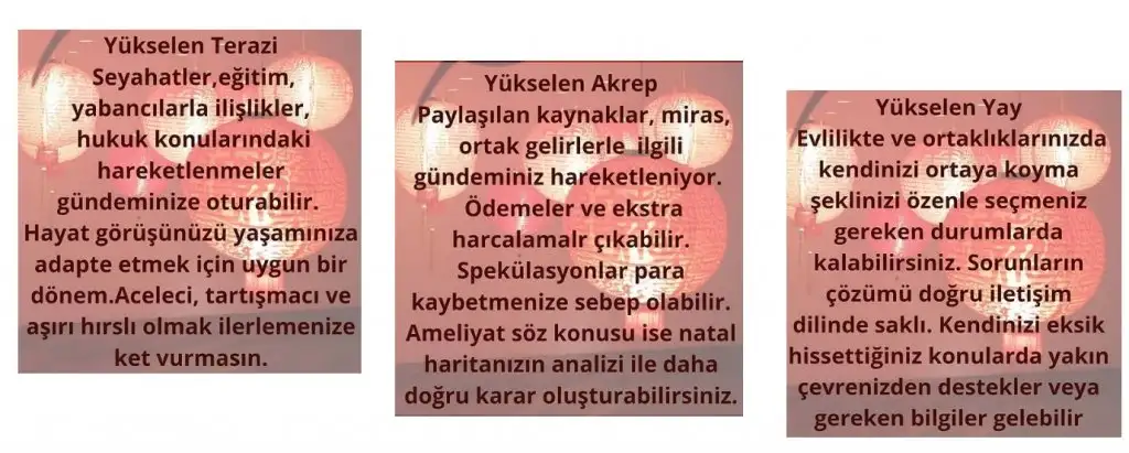 3.webp