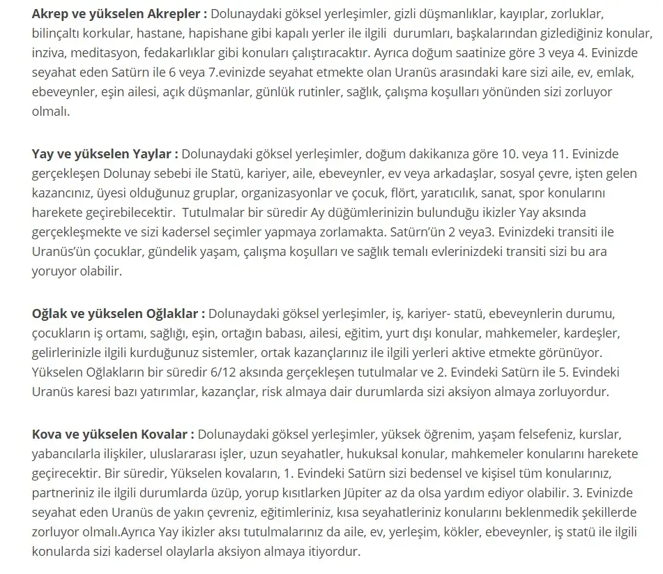 3.webp