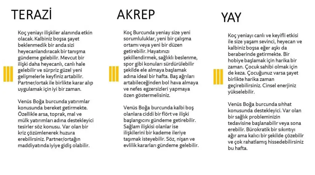 3.webp