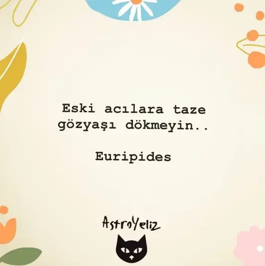 3.webp