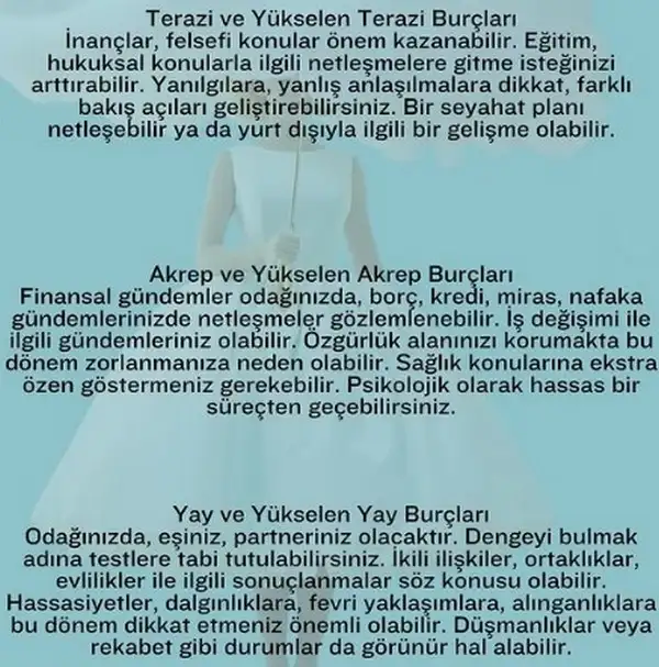 3.webp