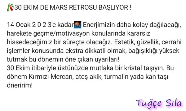 30.webp