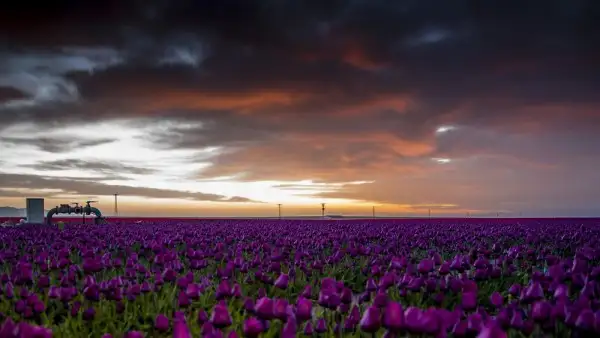 30_d-600x338.webp