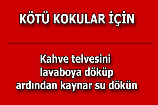 30aa4e7c436b28668795543288ca199c_k.webp